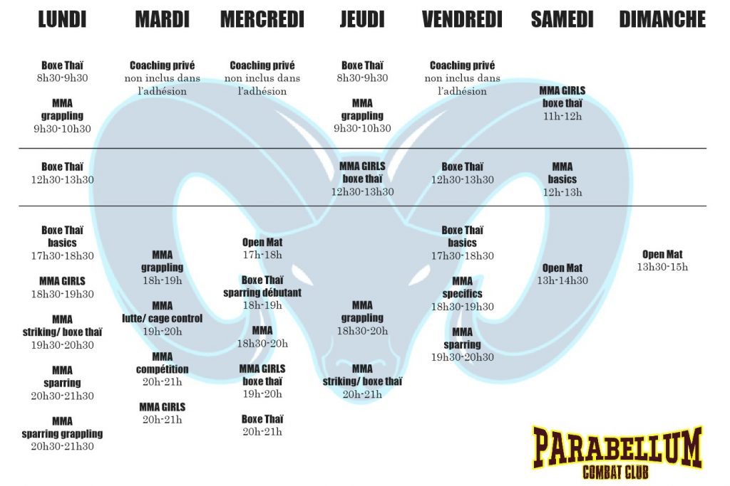 Planning 2025-2026 cours mixte